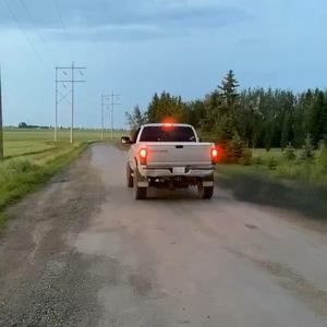 Meet your Posher, Deni